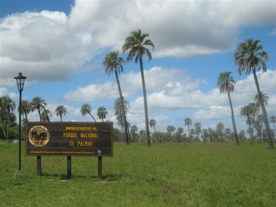 Nationalpark El Palmar